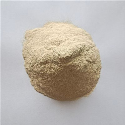 רשת עדינה נתרן אלגינט